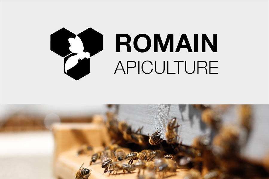 Romain Apiculture - Déclinaison identité de marque